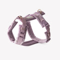 Lilac - Velvet Dog Harness 1