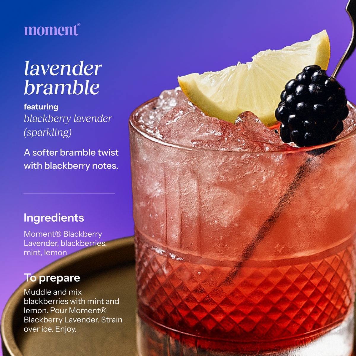 blackberry lavender (botanical soda | 24 pack)