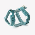 Blue - Velvet Dog Harness 1