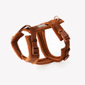 Clay - Velvet Dog Harness 1