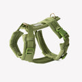 Green - Velvet Dog Harness 1