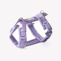 Lavender - Comfort Dog Harness 1