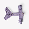 Lavender - Comfort Dog Harness 2