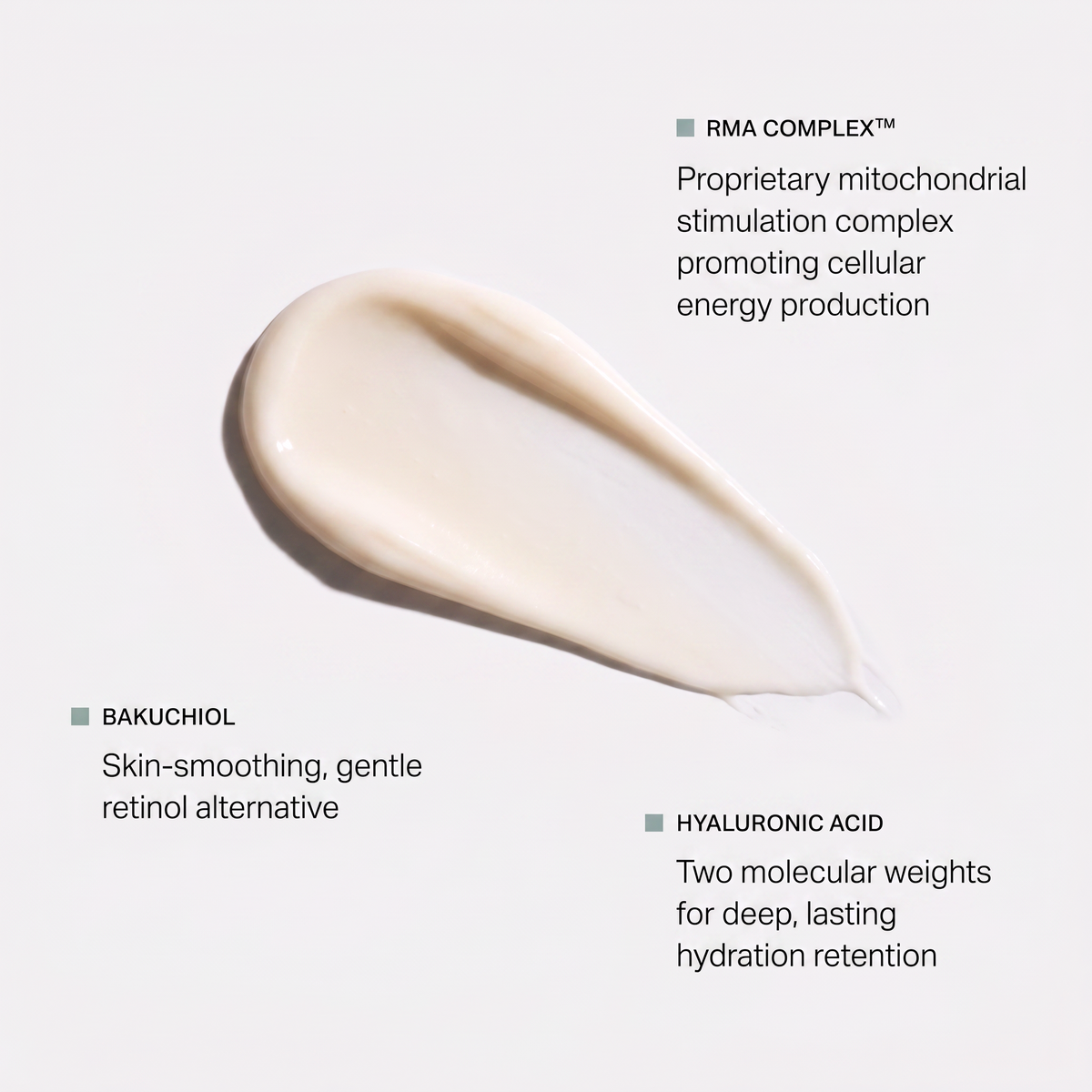 Skin Memory Daily Moisturizer