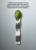 LAKA® Matcha™ 2