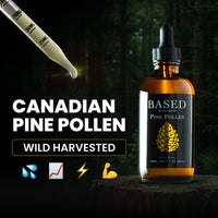 Pine Pollen