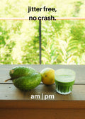 LAKA® Matcha™ 4