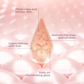 Illuminating Rose Gold Facial Serum 3