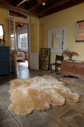 8-Pelt Irregular Area Rug 5