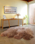 8-Pelt Irregular Area Rug 4