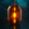 Allium Lamp 10