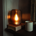 Allium Lamp 7