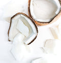 JASMINE + SANTAL | VIRGIN COCONUT CRÈME WAX & WOODEN WICK 7