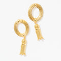 Rodeo Earrings 1
