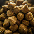 Supplement: Allergy 3