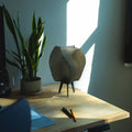 Zephyr Lamp 6
