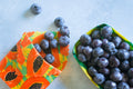 Beeswax Wrap Bulk Roll - Avocado Print 10