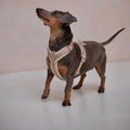 Sand - Velvet Dog Harness 3