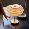 Arcas Lamp 2