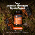 Chaga Mushroom Extract Capsules 9