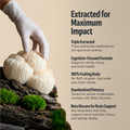 Organic Lion’s Mane Capsules 2