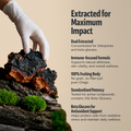 Chaga Mushroom Extract Capsules 6