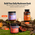 Chaga Mushroom Extract Capsules 8