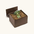 Loving Earth Evil Eye Heart Mushroom Statue 2