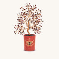 Ambitious Spirit Garnet January Birthday Tree 1