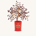 Courageous Heart Ruby July Birthday Tree 1
