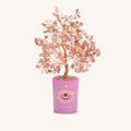 Calming Presence Tourmaline October Birthday Tree 1