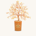 Illuminated Path Citrine November Birthday Tree 1
