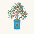 Soulful Existence Turquoise December Birthday Tree 1