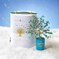 Soulful Existence Turquoise December Birthday Tree 2