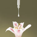 Skin Memory Serum 7