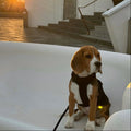 Brown - Comfort Dog Harness 3