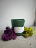 ONSEN 温泉 | VIRGIN COCONUT CRÈME WAX & WOODEN WICK CANDLE 6