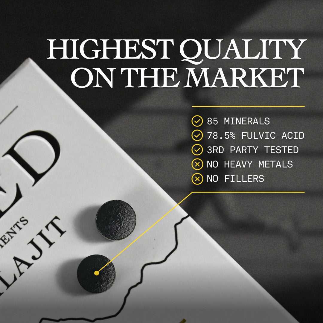 Shilajit Tablets