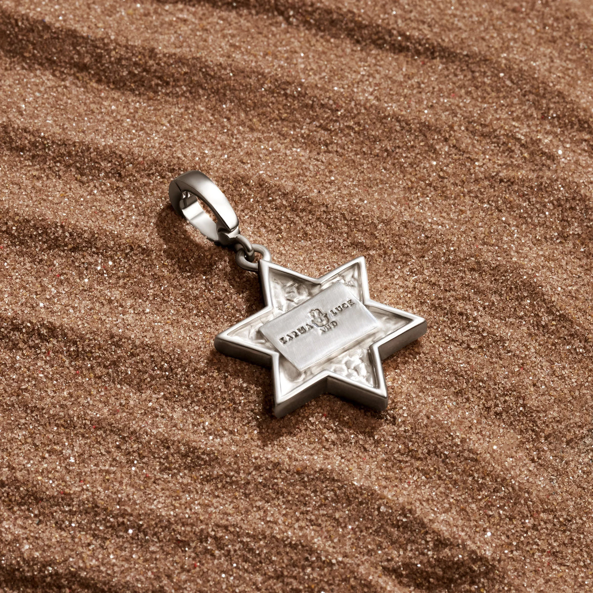 Ancestral Protector Tiger’s Eye Star of David Charm