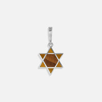 Ancestral Protector Tiger’s Eye Star of David Charm