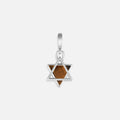 Wise Devotion Silver Tiger’s Eye Star of David Charm 1