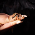 Black Onyx Ring 2