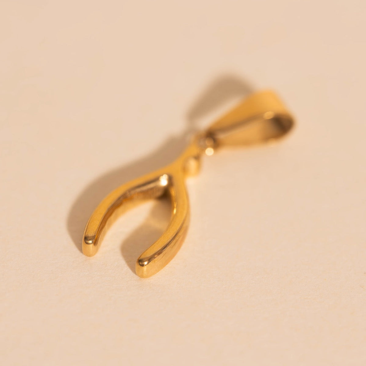 Wishbone Necklace Charm