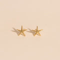 Mini Starfish Stud Earrings 3