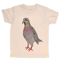 Pigeon 1
