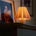 Ruff Lamp 6