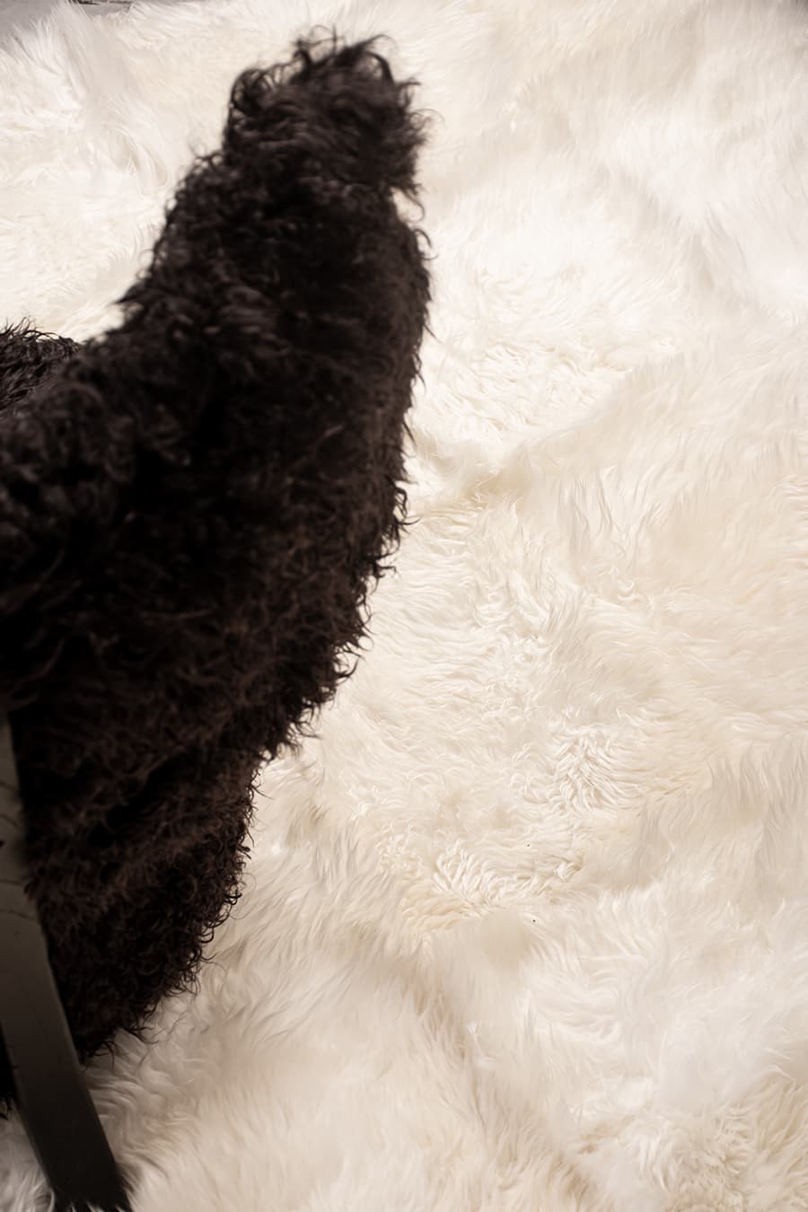Snow – Long Hair Sheepskin Rug – view 6