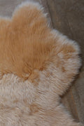 Six Piece Sheepskin Area Rug 5