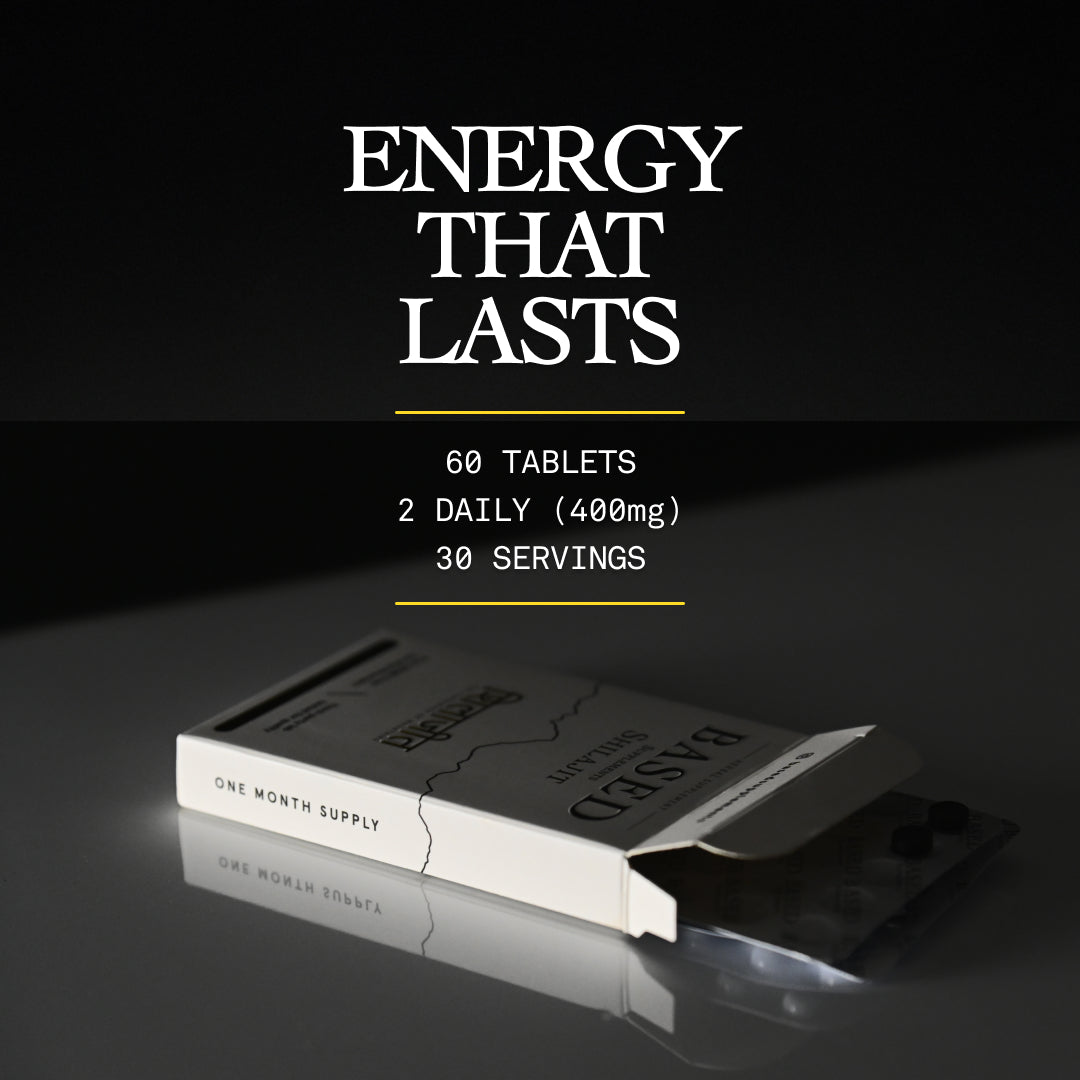 Shilajit Tablets