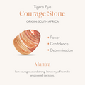 Fierce Spirit - Tiger's Eye Labradorite Pyrite Triple Protection Bracelet Stack 3
